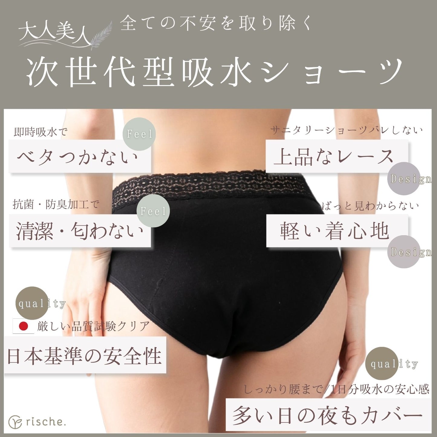 コットン サニタリーショーツ 2~4枚セット